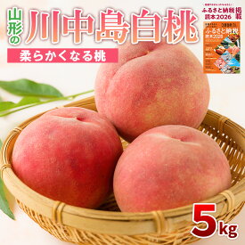【ふるさと納税】山形の川中島白桃 5kg (10〜16玉) [柔らかくなる桃]【令和9年産先行予約】FS94-565 山形県 山形市 お取り寄せ 先行予約 2027年産 果物 もも モモ フルーツ 果実 デザート くだもの 朝どれ 採れたて 新鮮 産地直送 数量限定 期間限定 贈答 ギフト 家庭用