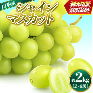 楽天限定 山形市産 シャインマスカット 秀 約2kg (2〜6房) 【令和8年産先行予約】FS24-658 くだもの 果物 フルーツ おいしい 人気 ぶどう 葡萄 マスカット 山形 山形県 山形市 お取り寄せ 2026年産 期間限定 限定