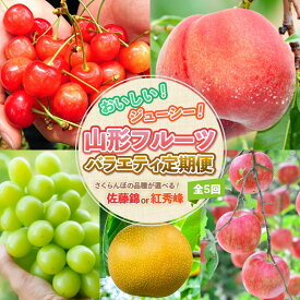 【ふるさと納税】【定期便5回】おいしい！ジューシー！山形フルーツ バラエティ定期便 さくらんぼ 佐藤錦 紅秀峰 選べる フルーツ 定期便 山形 人気 返礼品 さくらんぼ サクランボ 桃 白桃 梨 和梨 シャインマスカット マスカット リンゴ りんご 林檎 FZ25-821