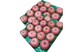 【ふるさと納税】山形のサンふじりんご 約10kg 秀品(24～40玉) fz19-140 リンゴ 林檎 フルーツ 果物 お取り寄せ 送料無料