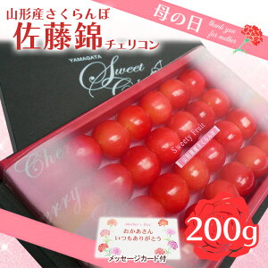 yӂ邳Ɣ[Łz̓R`  `FRϔ 200g LTCY(5/4`5/10) yߘa8NYs\zFS25-544  ʕ t[c R` R` R`s  2026NY