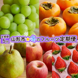 yӂ邳Ɣ[Łzy5zR`s~̃t[c yߘa7NYs\zFU21-240 ʕ t[c R` R` R`s  2025NY