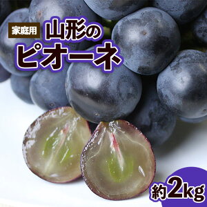 yӂ邳Ɣ[ŁzyƒpzR`̃sI[l Di 2kg(2`6[)yߘa8NYs\zFS23-644 ʕ t[c R` R` R`s  s\ 2026NY