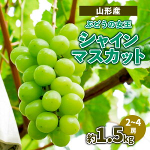 yӂ邳Ɣ[ŁzR`Y Ԃǂ̏ VC}XJbg 1.5kg(2`4[) yߘa7NYs\zFS23-714  ʕ t[c R` R` R`s 2025NY