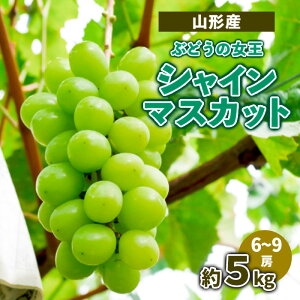 yӂ邳Ɣ[ŁzR`YԂǂ̏ VC}XJbg 5kg (6`9[j yߘa7NYs\zFS23-716  ʕ t[c R` R` R`s 2025NY