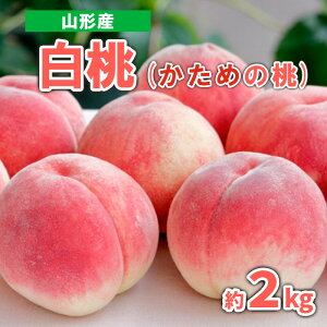 yӂ邳Ɣ[ŁzR`Y  (߂̓) 2kg Gi yߘa7NYs\zFS23-719  ʕ t[c R` R` R`s 2025NY