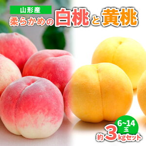 yӂ邳Ɣ[ŁzR`Y _炩߂̔Ɖ@3kgZbgi6`14) yߘa8NYs\zFS23-720  ʕ t[c R` R` R`s  2026NY