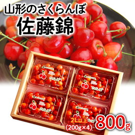 【ふるさと納税】山形のさくらんぼ 佐藤錦 800g(200g×4パック) 2Lサイズ以上 【令和6年産先行予約】FS23-746 山形 山形県 山形市 フルーツ 果物 くだもの 送料無料 さくらんぼ サクランボ