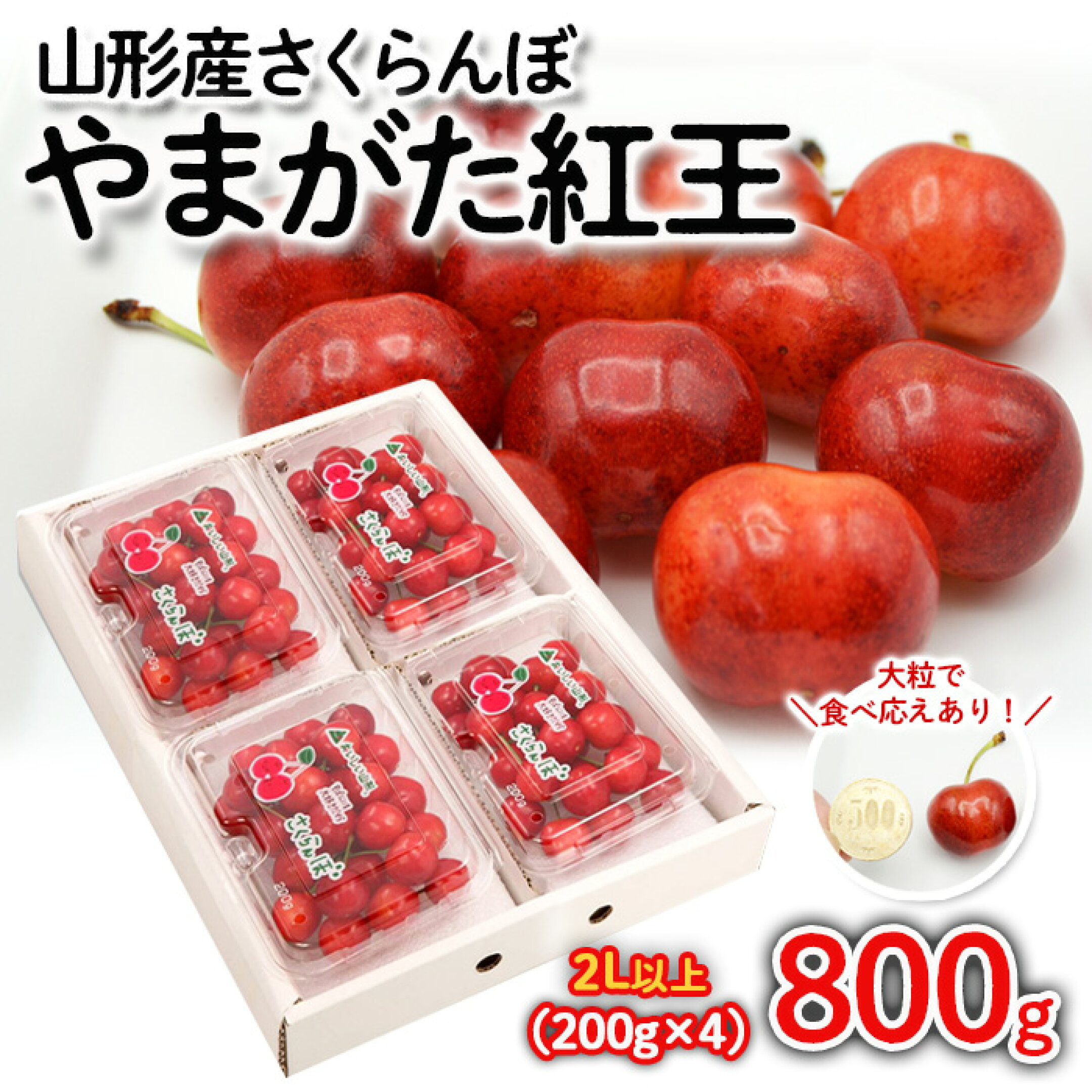 【ふるさと納税】さくらんぼ やまがた紅王 約800g(200g×4パック) 2Lサイズ以上 【令和7年産先行予約】FS24-562
