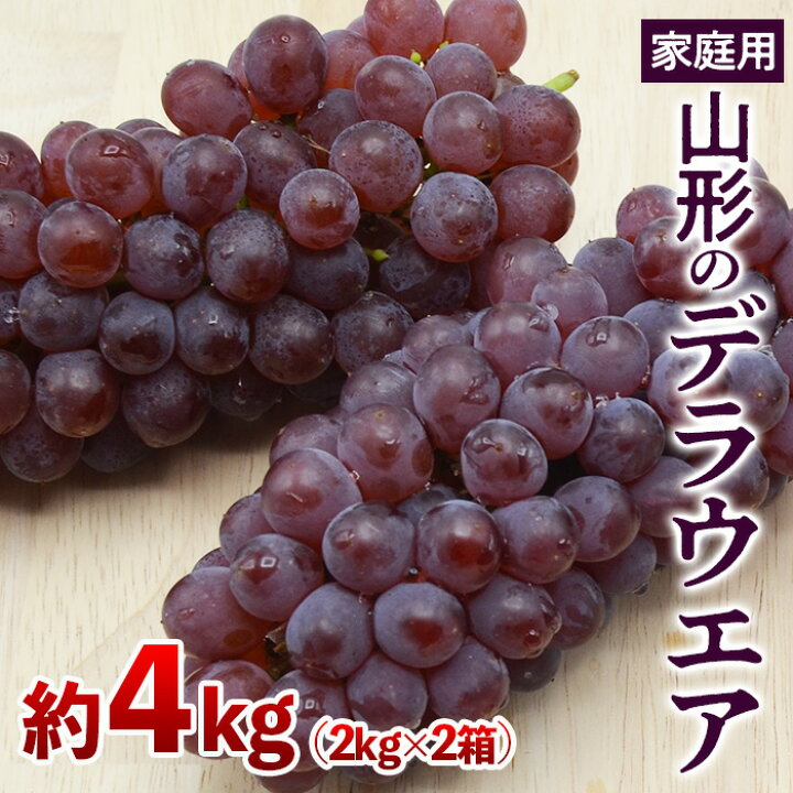 楽天市場】【ふるさと納税】【ご家庭用】山形のデラウエア M〜3L 約4kg 