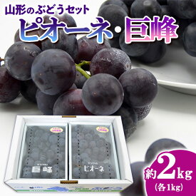 【ふるさと納税】山形のぶどうセット 秀品 約2kg(ピオーネ約1kg2房前後・巨峰約1kg2房前後)[9月中旬～10月中旬お届け] 【令和6年産先行予約】FS23-751 山形 山形県 山形市 フルーツ 果物 くだもの 送料無料 ぶどう 葡萄 ブドウ ピオーネ 巨峰 詰め合わせ デザート