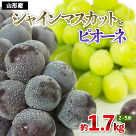 【ふるさと納税】やまがたのぶどう シャインマスカット＆ピオーネ 秀品 約1.7kg(2〜5房程度)【令和8年産先行予約】FS23-752 くだもの 果物 フルーツ 山形 山形県 山形市 お取り寄せ 2026年産