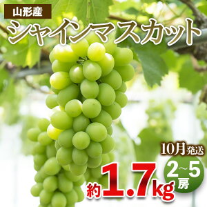 yӂ邳Ɣ[Łz܂̂Ԃǂ VC}XJbg Gi 1.7kg(2`5[x) [10]@ yߘa7NYs\zFS23-755  ʕ t[c R` R` R`s 2025NY