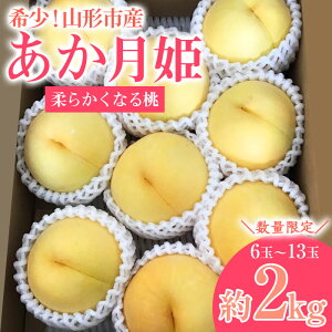 yӂ邳Ɣ[Łz[ʌ]󏭁IR`sYyPzGi (_炩Ȃ铍) 2kgyߘa8NYs\zFS23-761 ʕ t[c R` R` R`s  s\ 2026NY