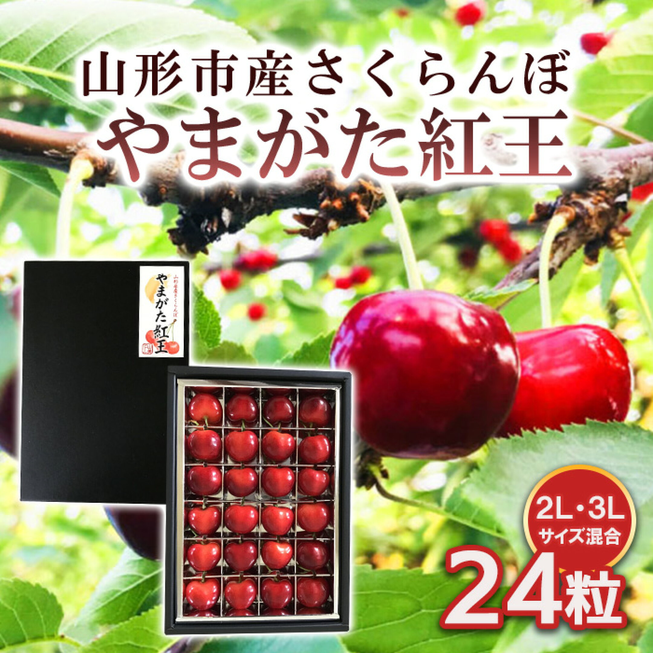 【ふるさと納税】山形市産 さくらんぼ 【やまがた紅王】 2L/3Lサイズ混合 24粒 【令和7年産先行予約】FS24-590