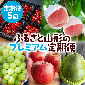 yӂ邳Ɣ[Łzy5zӂ邳ƎR`̃v~A part2 yߘa8NYs\zFS25-646  ʕ t[c R` R` R`s  2026NY