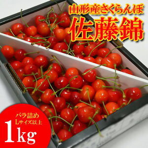 yӂ邳Ɣ[ŁzR`Y   1kg ol Lȏ yߘa8NYs\zFS25-501  ʕ t[c R` R` R`s  2026NY
