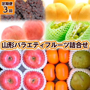 yӂ邳Ɣ[Łzy3zR`oGeBt[cl yߘa8NYs\zFU23-789  ʕ t[c R` R` R`s  2026NY