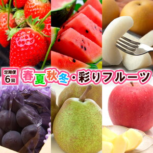 yӂ邳Ɣ[Łzy6ztďH~Eʂt[c yߘa8NYs\zFU23-796  ʕ t[c R` R` R`s  2026NY