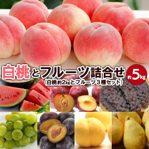 yӂ邳Ɣ[Łzƃt[cl 5kg yߘa8NYs\zFS23-801  ʕ t[c R` R` R`s  2026NY