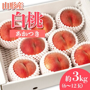 yӂ邳Ɣ[Łz܂̓()  Gi 3kg(6`12ʒx) yߘa8NYs\zFS23-810  ʕ t[c R` R` R`s  2026NY