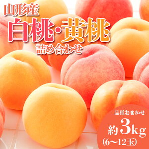 yӂ邳Ɣ[Łz܂̓(El) i킨C  Gi 3kg(6`12ʒx) yߘa8NYs\zFS23-813  ʕ t[c R` R` R`s  2026N