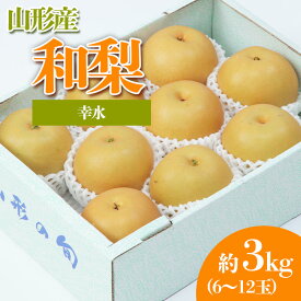 【ふるさと納税】やまがたの和なし (幸水) 秀品 約3kg(6～12玉程度) 【令和6年産先行予約】FS23-814 山形 山形県 山形市 フルーツ 果物 くだもの 送料無料 和梨 和なし 幸水