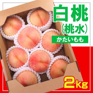 yӂ邳Ɣ[Łzt[cR` () Gi 2kg [] yߘa7NYs\zFS23-831  ʕ t[c R` R` R`s 2025NY