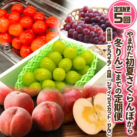 【ふるさと納税】【定期便5回】やまがた ”初夏さくらんぼから冬りんご”までの5回定期便(佐藤錦・デラウエア・白桃・シャインマスカット・りんご) 【令和8年産先行予約】FS24-531 くだもの 果物 フルーツ 山形 山形県 山形市 お取り寄せ 2026年産
