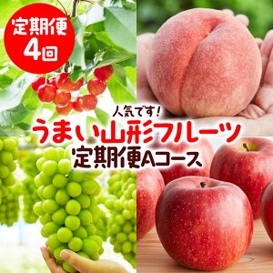 yӂ邳Ɣ[Łzy4zlCłI܂R`t[c AR[X yߘa8NYs\zFS23-851  ʕ t[c R` R` R`s  2026NY