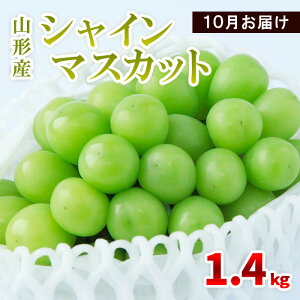 yӂ邳Ɣ[ŁzR`Y VC}XJbg 1.4kg(2`4[) 10͂ yߘa7NYs\zFS23-856 R` R` R`s t[c ʕ   Ԃǂ  uhE
