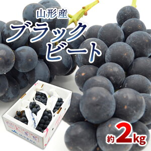 yӂ邳Ɣ[ŁzR`̂Ԃǂ ubNr[g Gi 2kg(3`6[)yߘa8NYs\zFS24-653 ʕ t[c R` R` R`s  s\ 2026NY