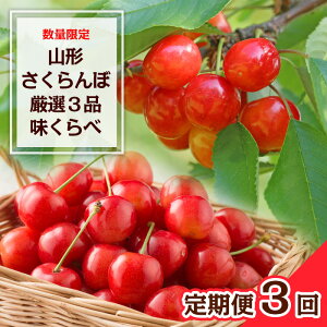 yӂ邳Ɣ[Łzy3zʌ R` I3i yߘa8NYs\zFS23-865  ʕ t[c R` R` R`s 2026NY