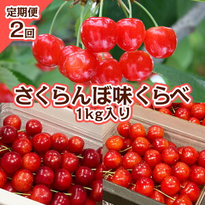 yӂ邳Ɣ[Łzy2z  1kg yߘa8NYs\zFS25-572  ʕ t[c R` R` R`s  2026NY