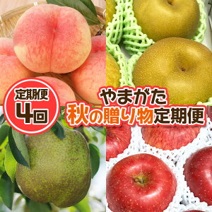 yӂ邳Ɣ[Łzy4z܂ H̑蕨ցyߘa8NYs\zFU23-877  ʕ t[c R` R` R`s  2026NY