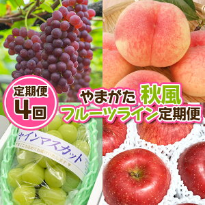 yӂ邳Ɣ[Łzy4z܂ Ht[cCցyߘa8NYs\zFU23-878  ʕ t[c R` R` R`s  2026NY