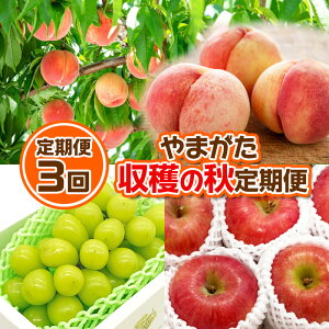 yӂ邳Ɣ[Łzy3z܂ n̏Hցyߘa8NYs\zFS24-535 ʕ t[c R` R` R`s  s\ 2026NY