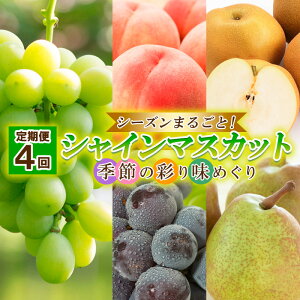 yӂ邳Ɣ[Łzy4zV[Y܂邲ƁIVC}XJbg G߂̍ʂ薡߂yߘa8NYs\zFU23-884 ʕ t[c R` R` R`s  s\ 202