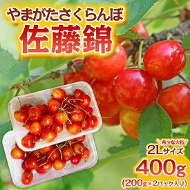 【ふるさと納税】やまがた さくらんぼ 佐藤錦 "希少な大粒" 2Lサイズ 360g(180g×2パック入り) 1箱【令和8年産先行予約】FS25-573 くだもの 果物 フルーツ 山形 山形県 山形市 お取り寄せ 2026年産
