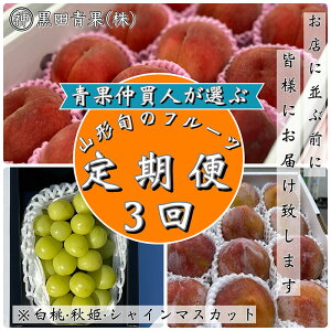 yӂ邳Ɣ[Łzy3zʒlIԁIR`{̃t[c3II[EHPEVC}XJbg]yߘa8NYs\zFS24-599 ʕ t[c R` R` R`s 