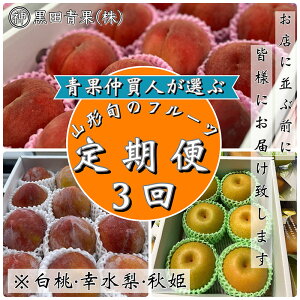 yӂ邳Ɣ[Łzy3zʒlIԁIR`{̃t[c3II[EKEHP]yߘa8NYs\zFS24-596 ʕ t[c R` R` R`s  s\