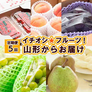 yӂ邳Ɣ[Łzy5zC`IVt[cIR`炨͂ yߘa8NYs\zFS25-613  ʕ t[c R` R` R`s  2026NY