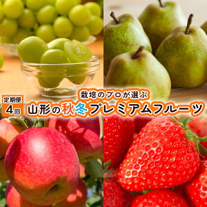 yӂ邳Ɣ[Łzy4z͔|̃vIԎR`̏H~v~At[c yߘa7NYs\zFU21-946 ʕ t[c R` R` R`s  2025NY