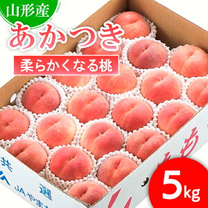 yӂ邳Ɣ[ŁzR`sY ()5kg(16`20)[_炩Ȃ铍] yߘa8NYs\zFS25-726  ʕ t[c R` R` R`s 2026NY