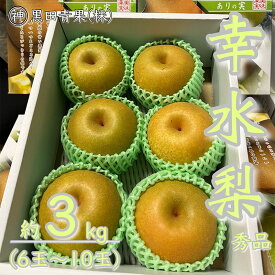 【ふるさと納税】山形県産 幸水 梨 秀品 約3kg(6～10玉) 【令和6年産先行予約】FU23-442 フルーツ くだもの 果物 お取り寄せ 先行予約 山形 山形県 山形市 送料無料 和梨 和なし 幸水