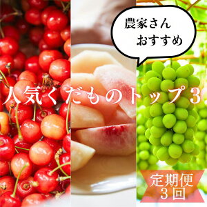 yӂ邳Ɣ[Łzy3z_Ƃ񂨂 `lC̃gbv3Iyߘa8NYs\zFU23-702  ʕ t[c R` R` R`s  2026NY