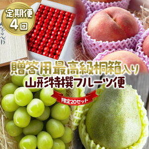 yӂ邳Ɣ[Łzy4z20Zbgp ō˔ R`t[c yߘa8NYs\zFU23-769  ʕ t[c R` R` R`s  2026NY