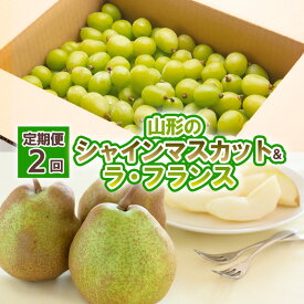 【ふるさと納税】【定期便2回】山形の　シャインマスカット＆ラ・フランス【令和8年産先行予約】FU23-798くだもの 果物 フルーツ 山形 山形県 山形市 お取り寄せ 先行予約 2026年産