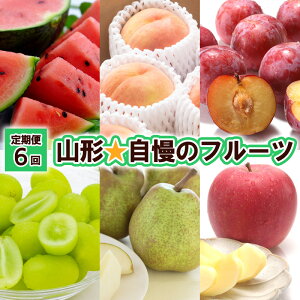 yӂ邳Ɣ[Łzy6zR`̃t[c yߘa8NYs\zFU23-802  ʕ t[c R` R` R`s  2026NY