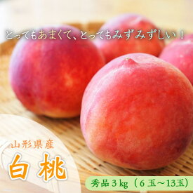 【ふるさと納税】山形市産 白桃 [柔らかくなる桃] 秀品 約3kg (6玉～13玉) 【令和6年産先行予約】FU23-573 フルーツ くだもの 果物 お取り寄せ 先行予約 山形 山形県 山形市 桃 もも モモ